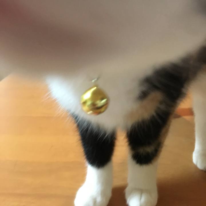 9dd78775 ea81 4f25 87f1 1e73667f236f