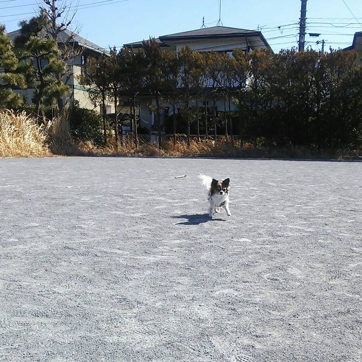 9dd7900d 4d0c 43ad 81c8 c2ba2c626f6a