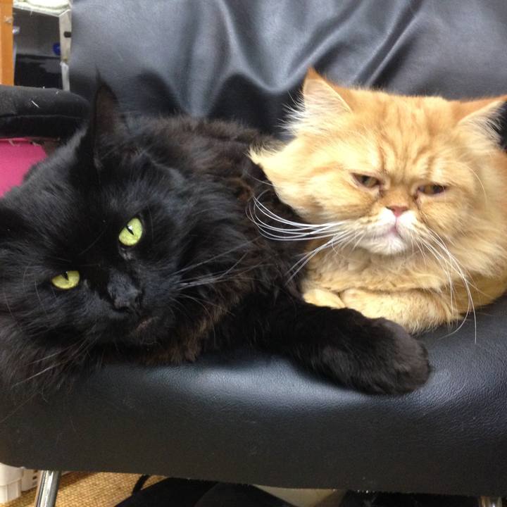 9dd82490 cef4 49c9 9a2d 464ec47c37b1