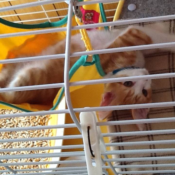 9dd88208 dfba 421d 9154 55b9bf06429f