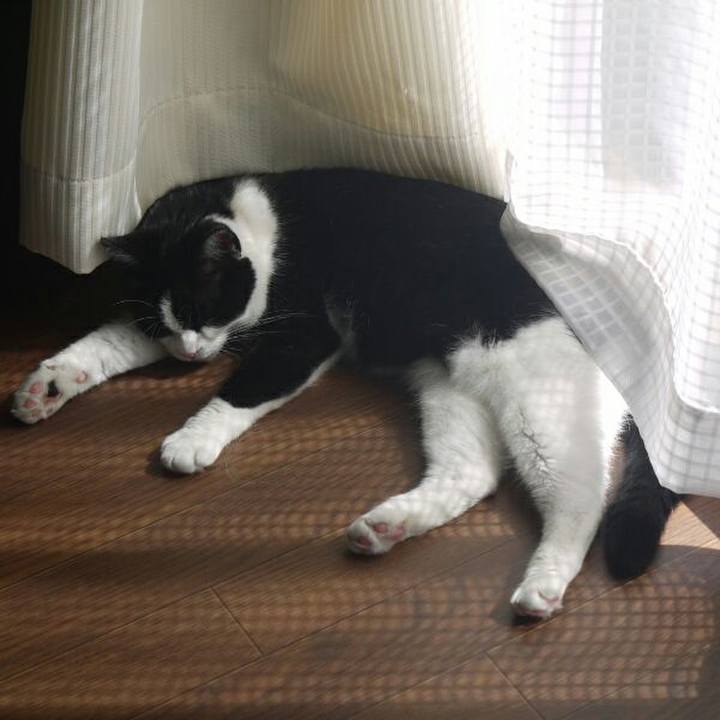 9dd89ed0 44c2 4e06 8427 1f88679f1e39