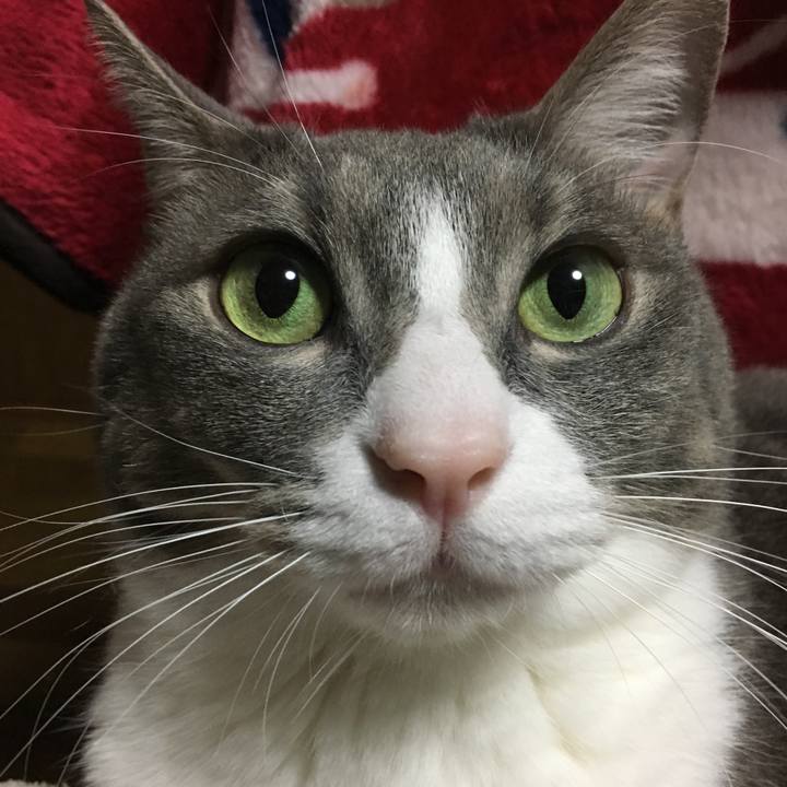 9dd8dace f56a 4f2d 80f2 f456aaa17675