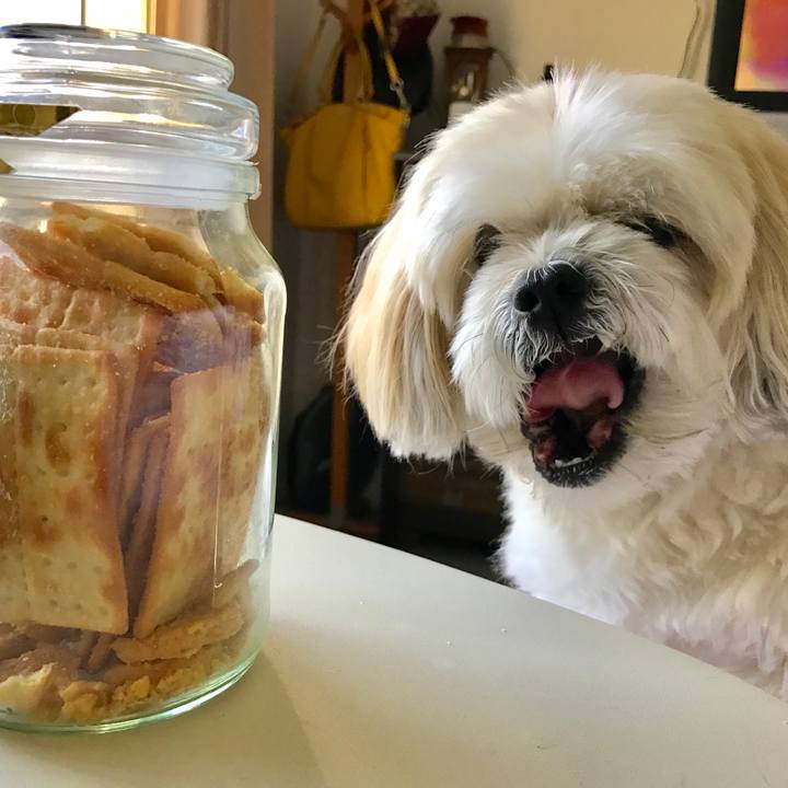 9dd8fedd 8713 4348 bb58 4382a503757b