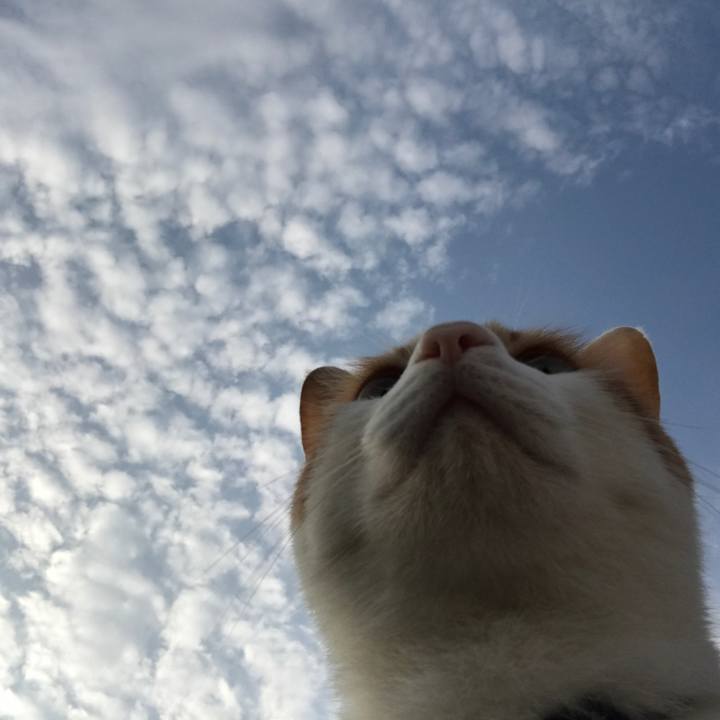 9dd90858 305b 4b40 9fa7 4622cb7d29dd