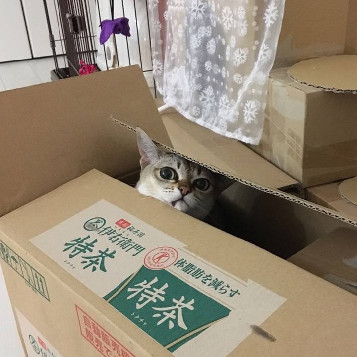 9dd91b6c f34c 4941 8793 680fbb93d66f