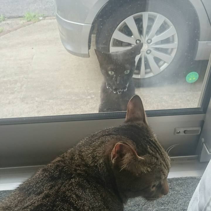 9dd9b3d4 f561 4f8f a78e 398b0671da9c