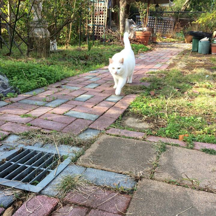 9dda0419 6e3f 48a5 af59 01b2242ad7fa