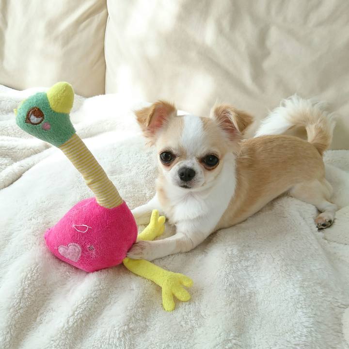 9dda4ef1 4da1 4aa2 b916 8ce25a6a58f8