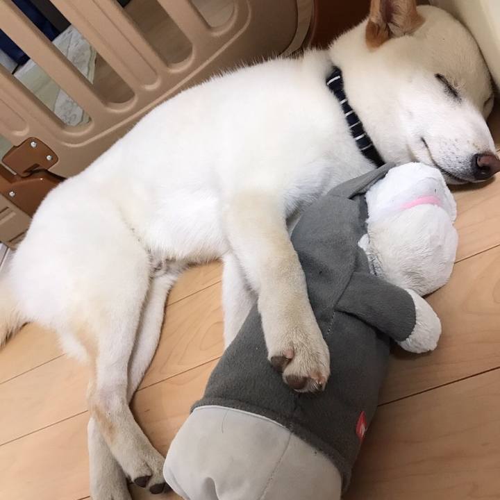 9dda7ded e388 46cf a515 e6c3e53453c0