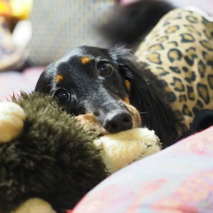 9ddaceb2 320d 473e 825b 25b5014e0b04