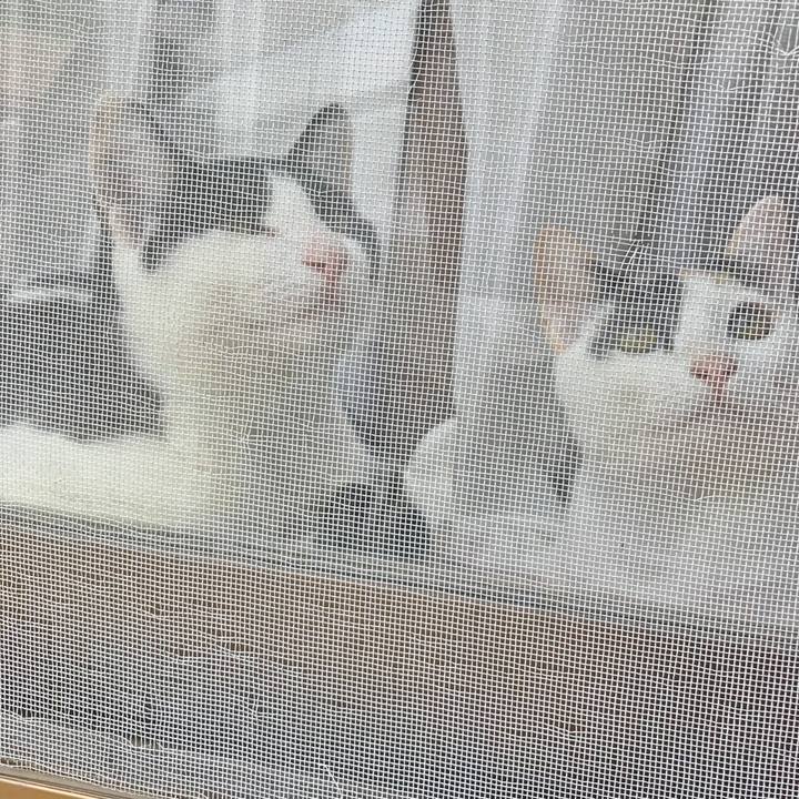 9ddafee0 07a4 46f2 8eb3 cc6dfe5597fe