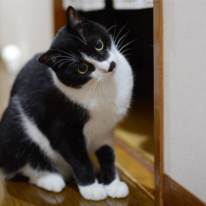 9ddb56ec 8a33 4252 885b 7119555aff84