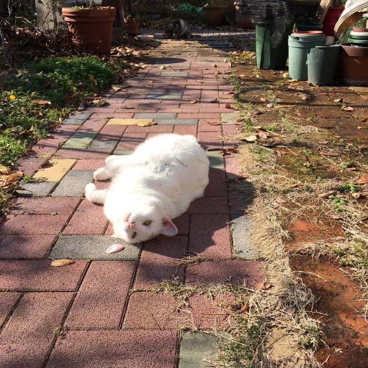 9ddb6e34 dc30 4a84 b0e8 c588182cf07f