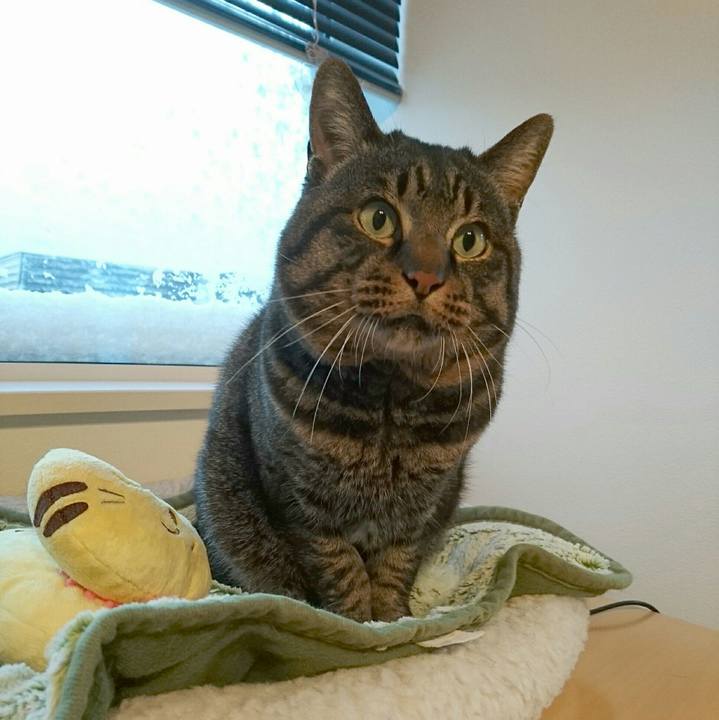 9ddc5947 a9c5 4b91 abc2 c745318a3600