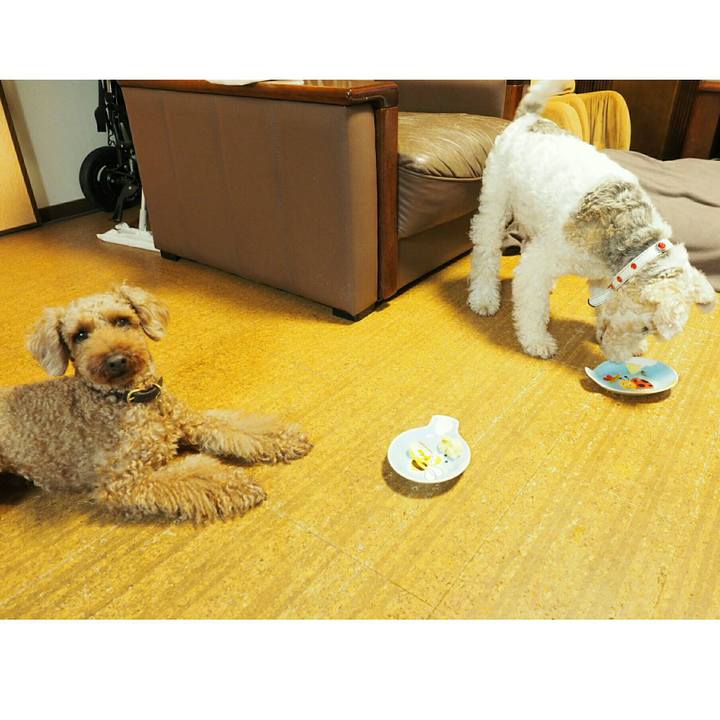 9ddc7930 8c73 4ef4 9110 6fdf7a5e1389