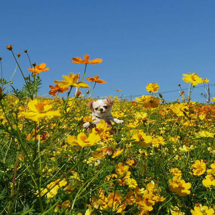 9ddcc4d2 b085 4c19 8e7a b7c9e673825b