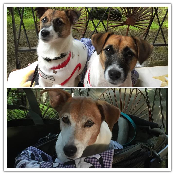 9ddcc829 faf6 4be0 951e b19414faf099