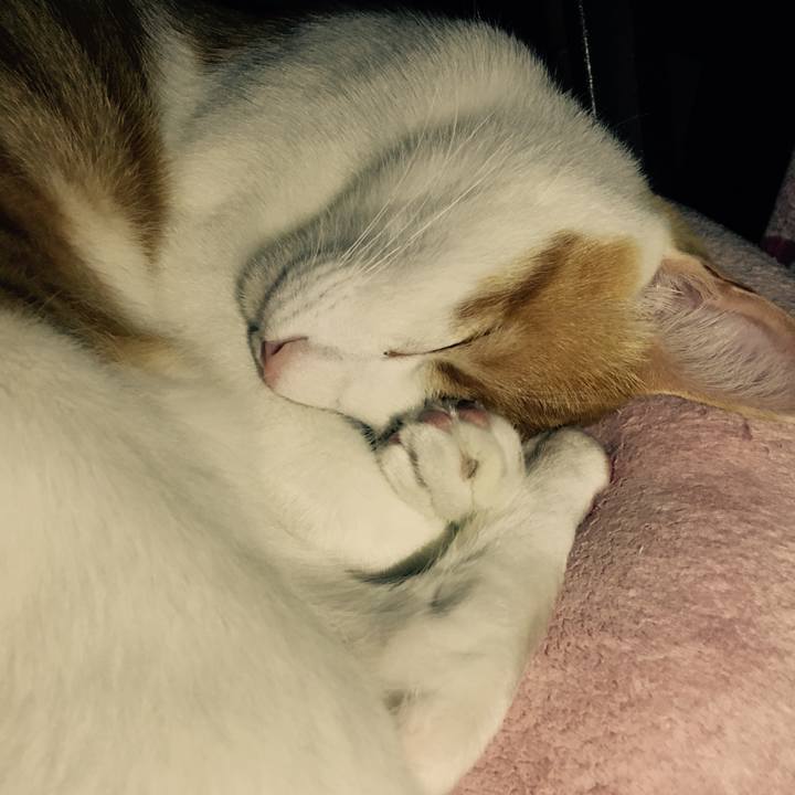 9dddfa1c 1748 4191 83c0 b245c2b90ca5