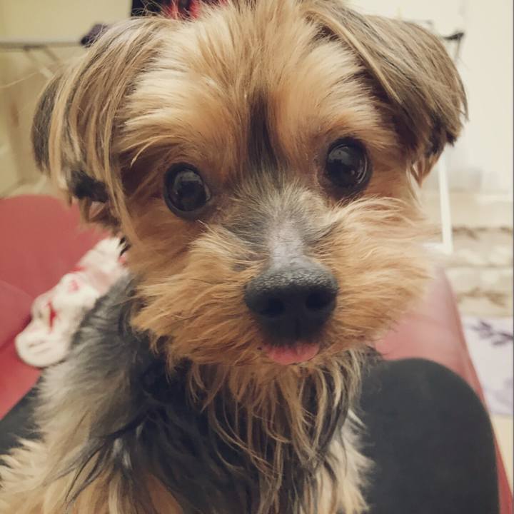 9dde2998 c087 4fb8 8107 b607a58a9014