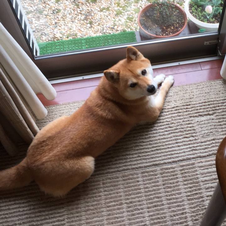 9dde3c80 e1c9 42ff 8772 33ebb6bd2af5