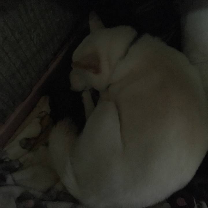 9dde6bf0 06ed 4ed8 a60f 7630d6f5106c