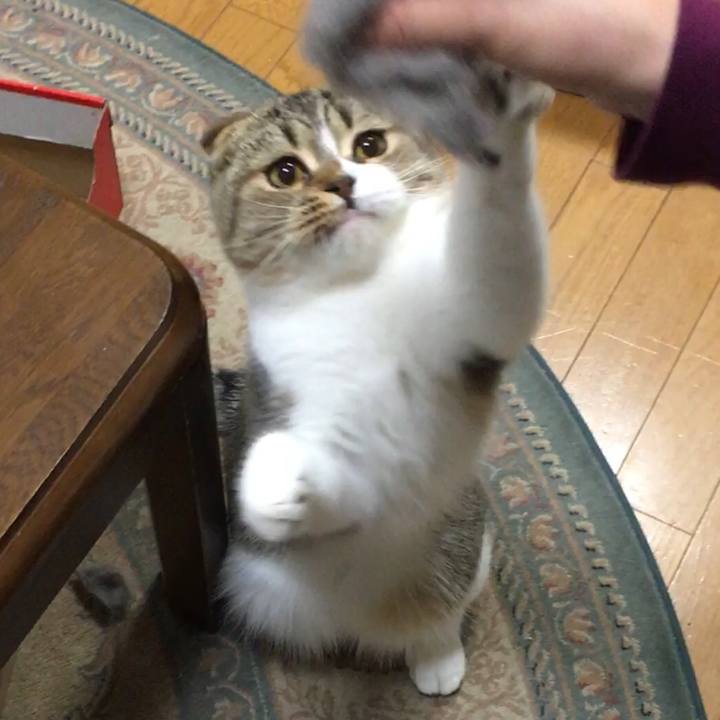 9ddec585 b65d 4007 95d8 f8c3b39acdee