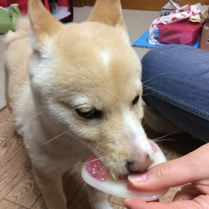 9ddf14d3 765f 4bd0 9d9b 9a5a0d35e60f