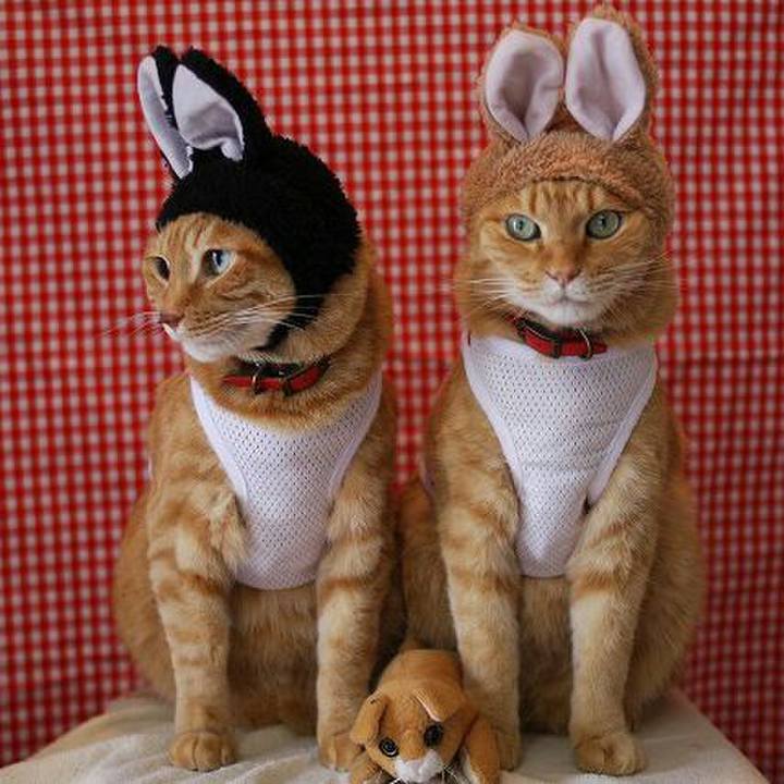 9ddf9d8d 1d2a 430d b3a6 ab20f8e76167