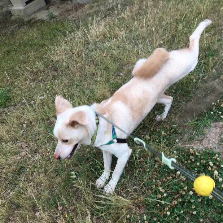 9ddfb5b7 25b4 4660 95cb cbd51518d991