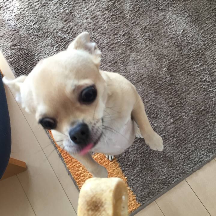 9de0975f d1f9 408b 89f6 00dd49c2dde7