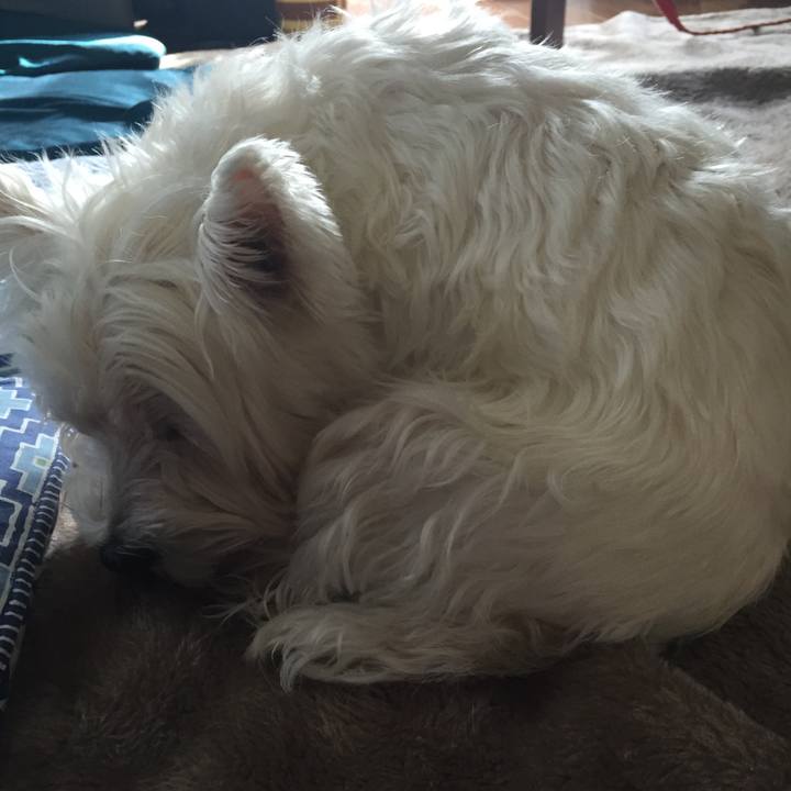 9de0ba3b fb4e 4982 916b 64ed786409c7