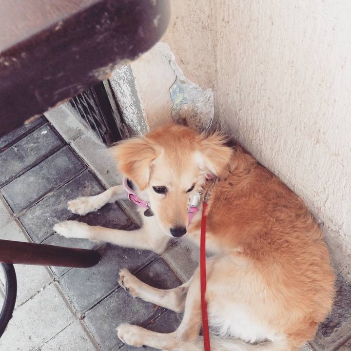 9de0d83c 569b 4087 9bf5 5aff87064a95