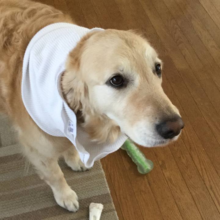 9de13a72 77d1 4b79 ab8b e511615a8b45