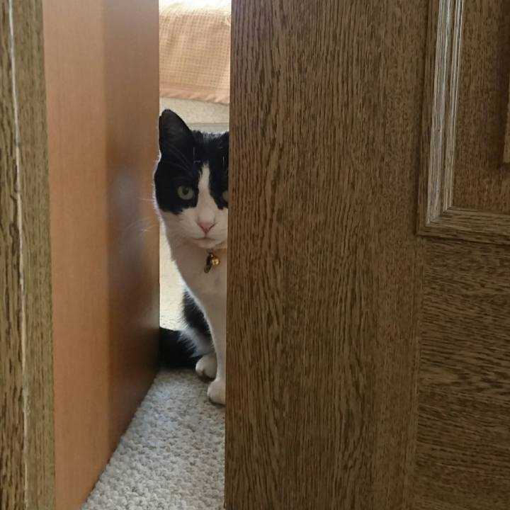 9de16305 7acc 4864 8598 43a60726a169