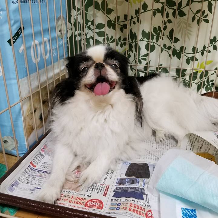 9de183b5 6797 4ec7 bdce a6e88e27c50e