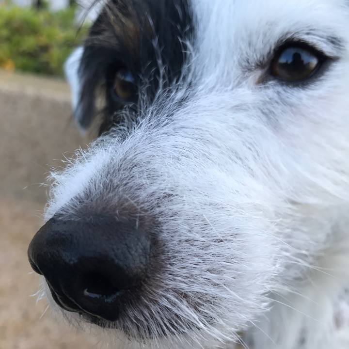 9de231f9 e7a8 4da0 a82d 0b1c6d5b2071