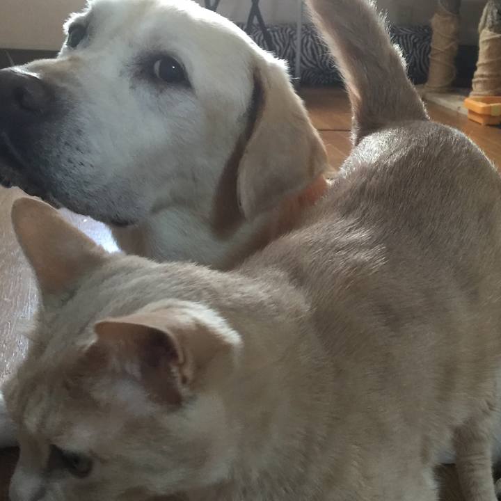 9de2f2e8 ba87 4090 addc fbd8acb8a18b