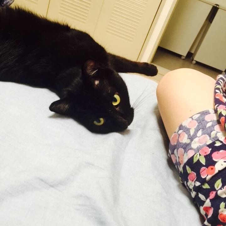 9de427cb 0430 40c2 b0b6 92cf958e471d