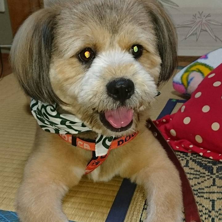 9de42b8c 991d 44a5 ae6b aafb7484d929