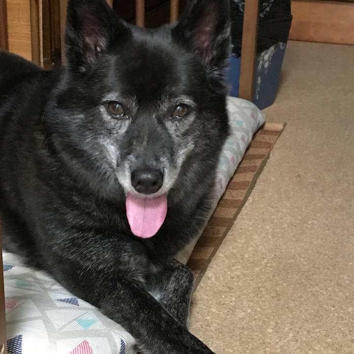 9de44164 046d 44e2 9f73 9ad8436f2571