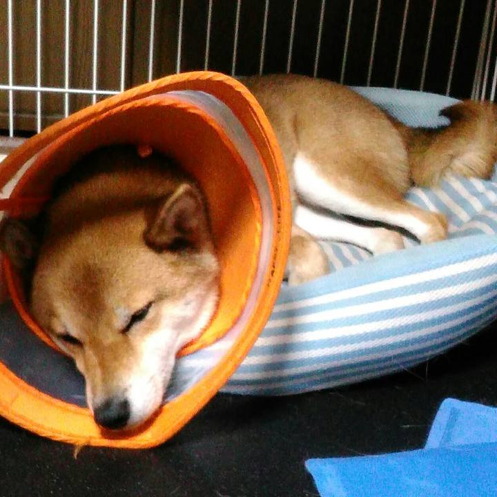 9de5a794 b9a3 4e68 ad8e a1cf70f53e21