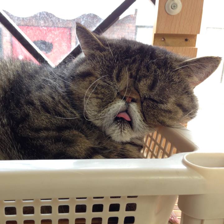 9de5bc88 ace6 4f90 a555 c35d8dda064a