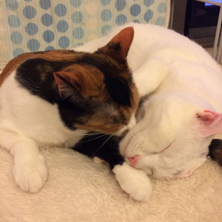 9de6cb8e 88b9 463e 8a26 033178730d69