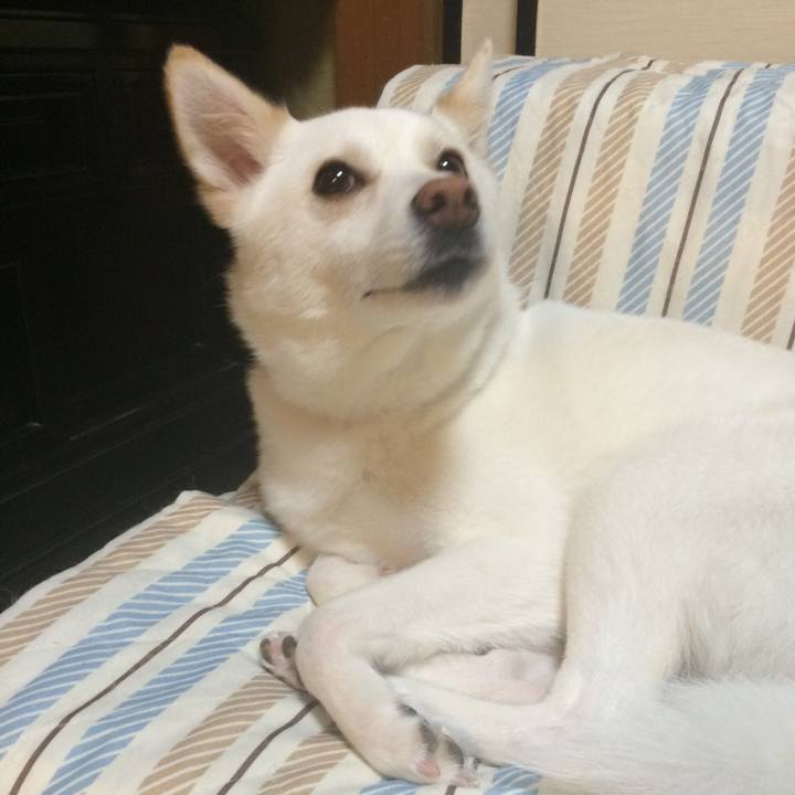 9de6fe47 6682 419c a23d b911e4335211