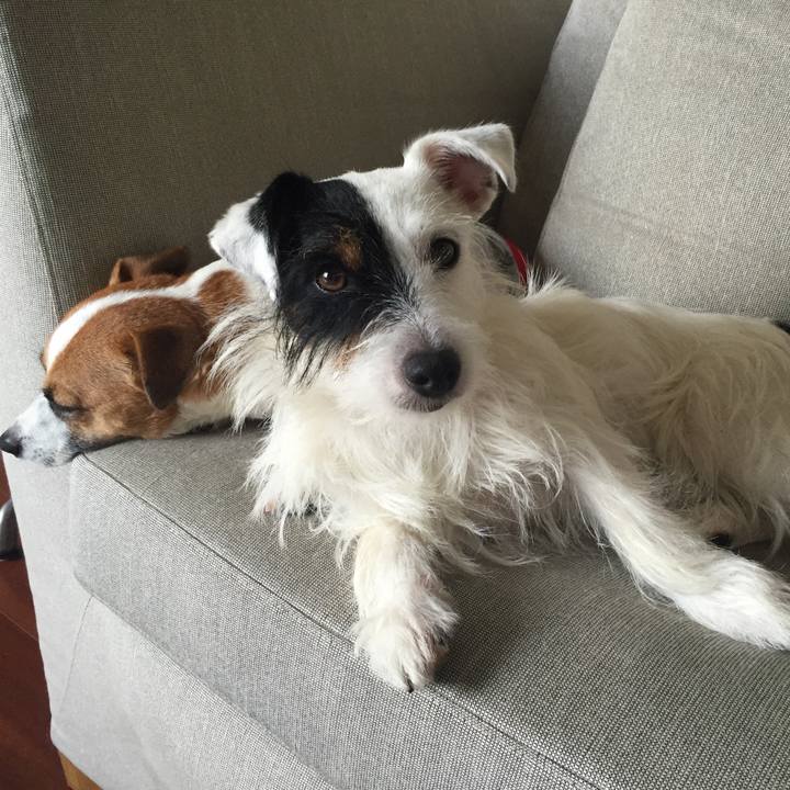 9de732e3 1163 44fa b14f 26216116206b