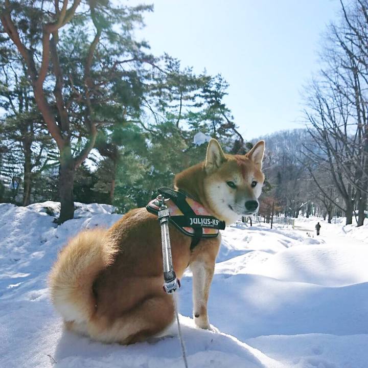 9de7a6ae 1c85 424d 8624 9b70c6296210