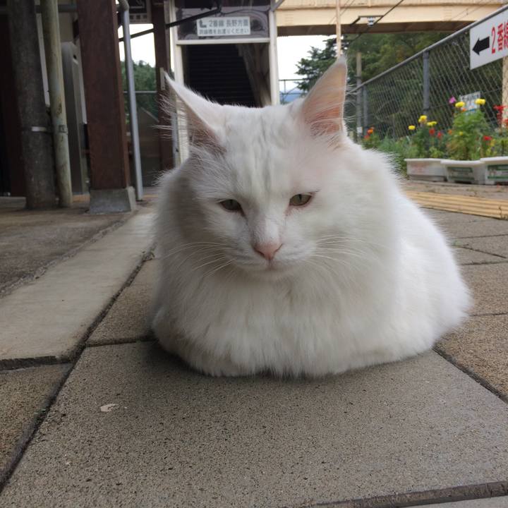 9de7b8a1 b62c 4659 9142 252987e3d2d6