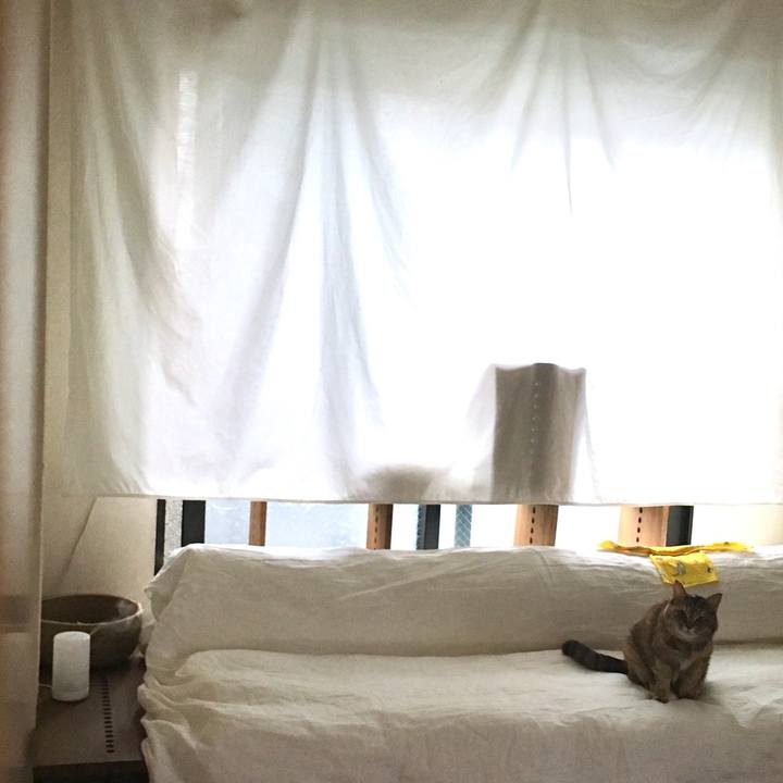 9de89911 3299 4a1a a8f9 d9fe82693816