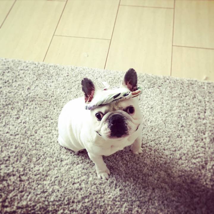 9de94cb7 15b3 4301 b8a1 a447788acdaa