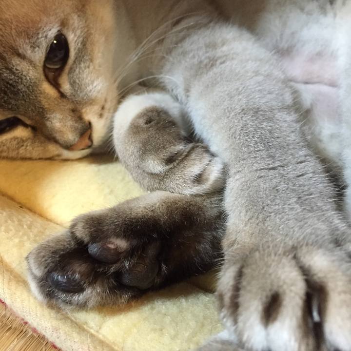 9de970b1 584d 492c a78a ce832d60eadf